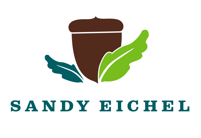 Sandy Eichel Logo