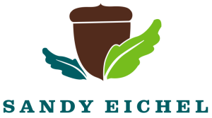 Sandy Eichel Logo